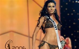 Miss Universe 2006